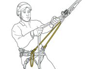 Pont d'attache réglable pour harnais SEQUOIA et SEQUOIA SRT - Petzl